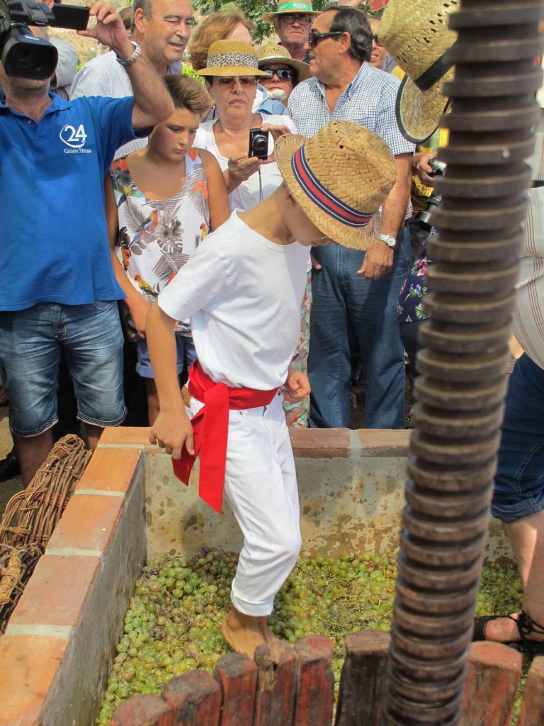 Fiesta de Viñeros