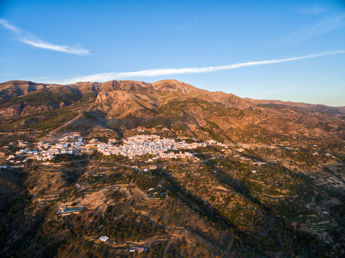 Canillas-de-Aceituno