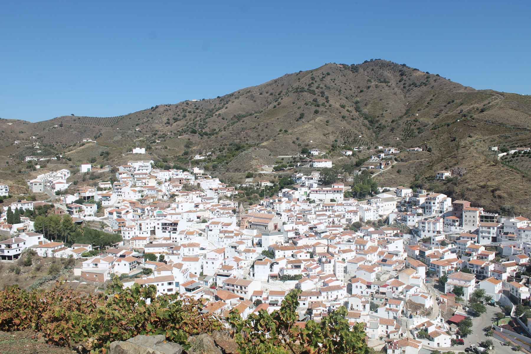 El-Borge-3