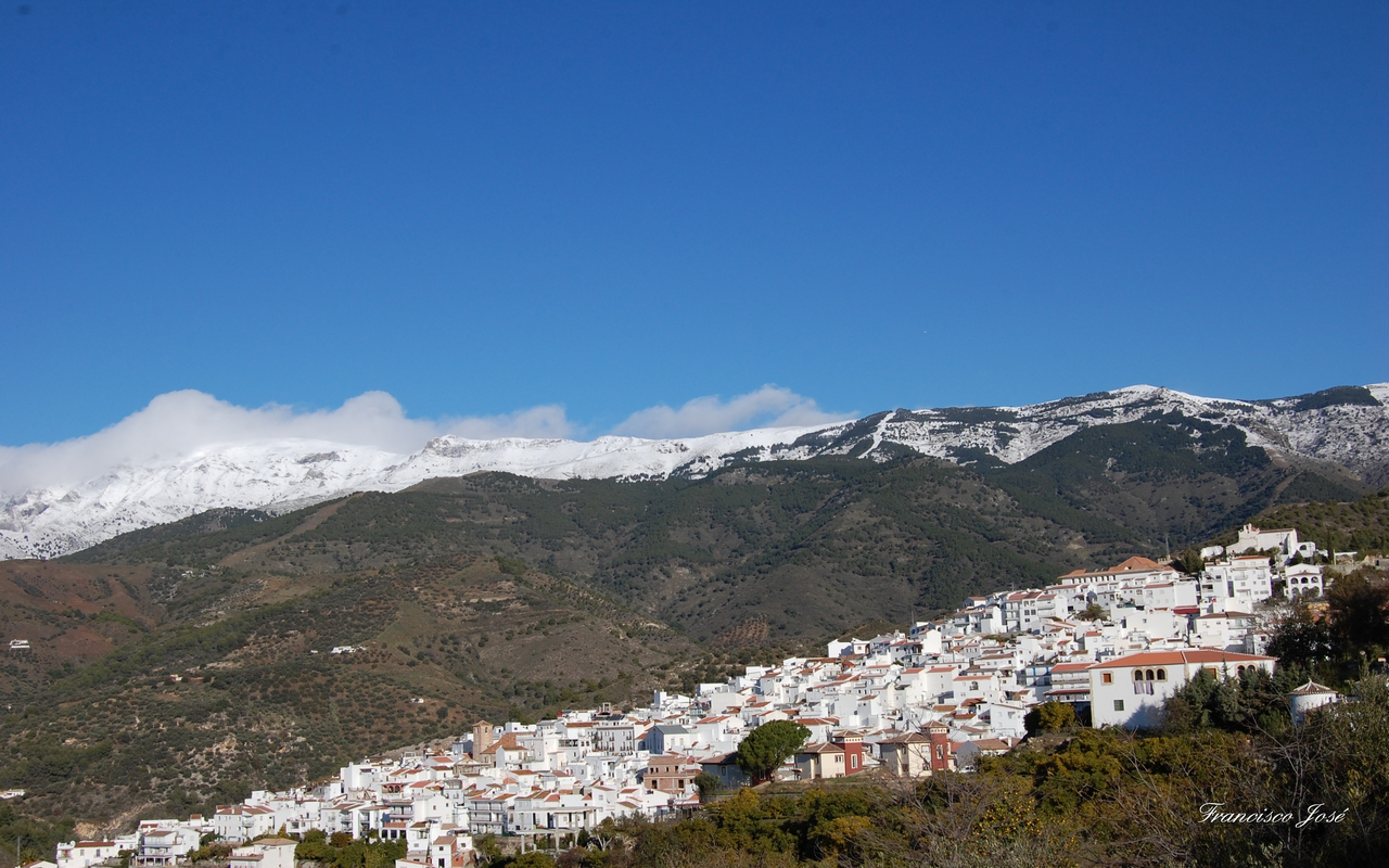 canillas-de-albaida
