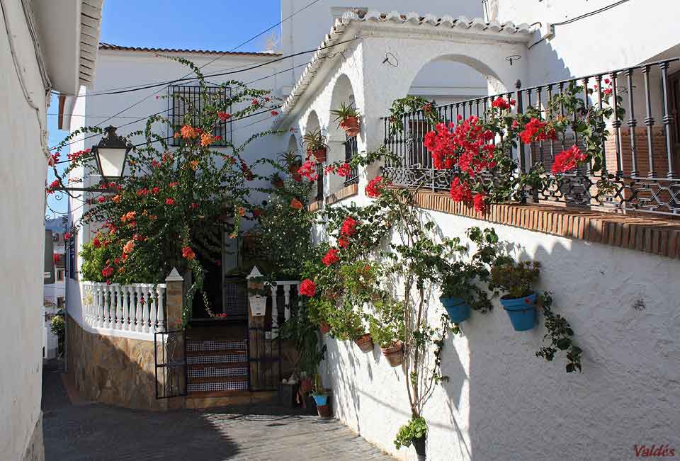 rincon-benamocarra