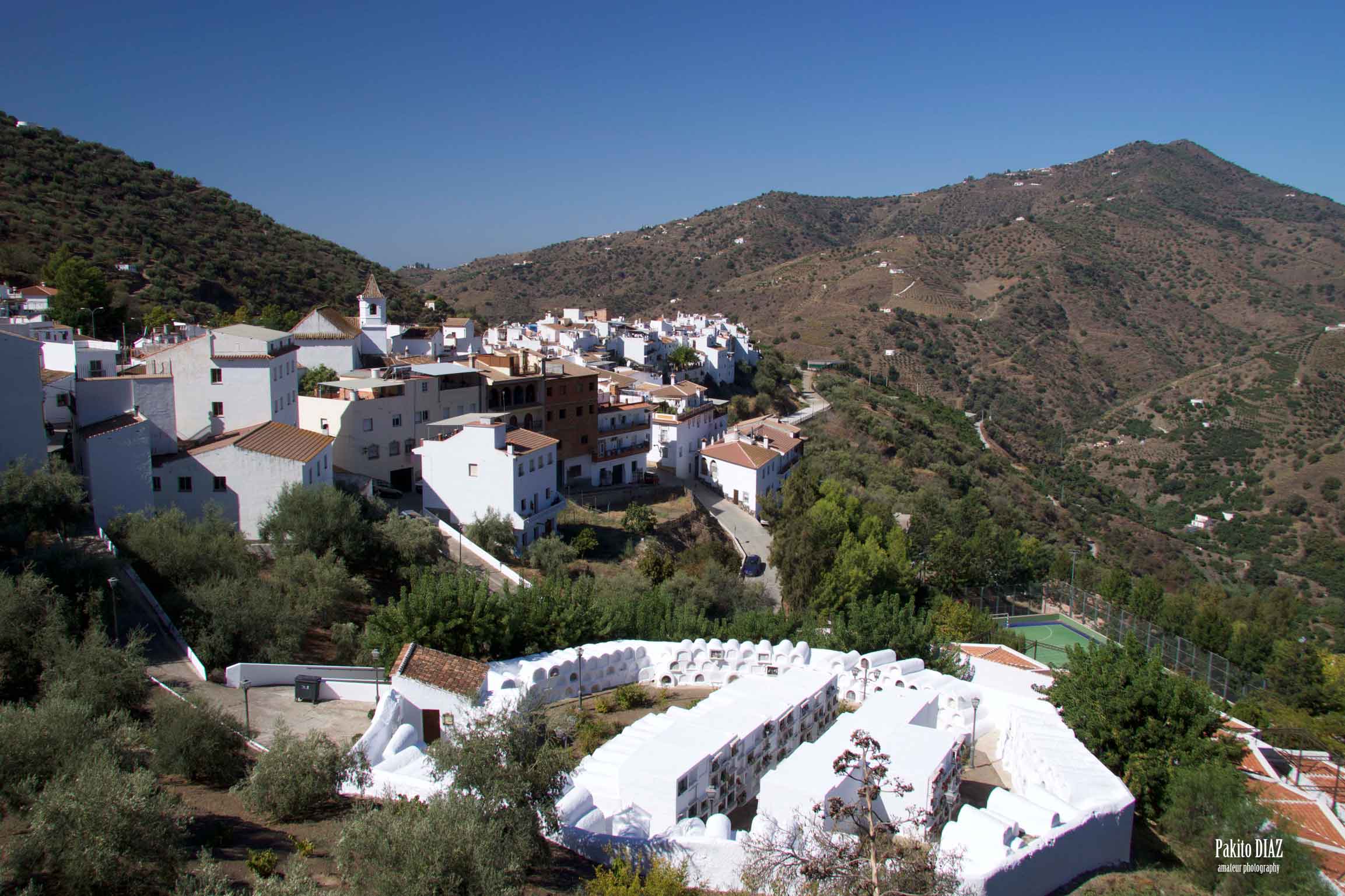 sayalongaa-