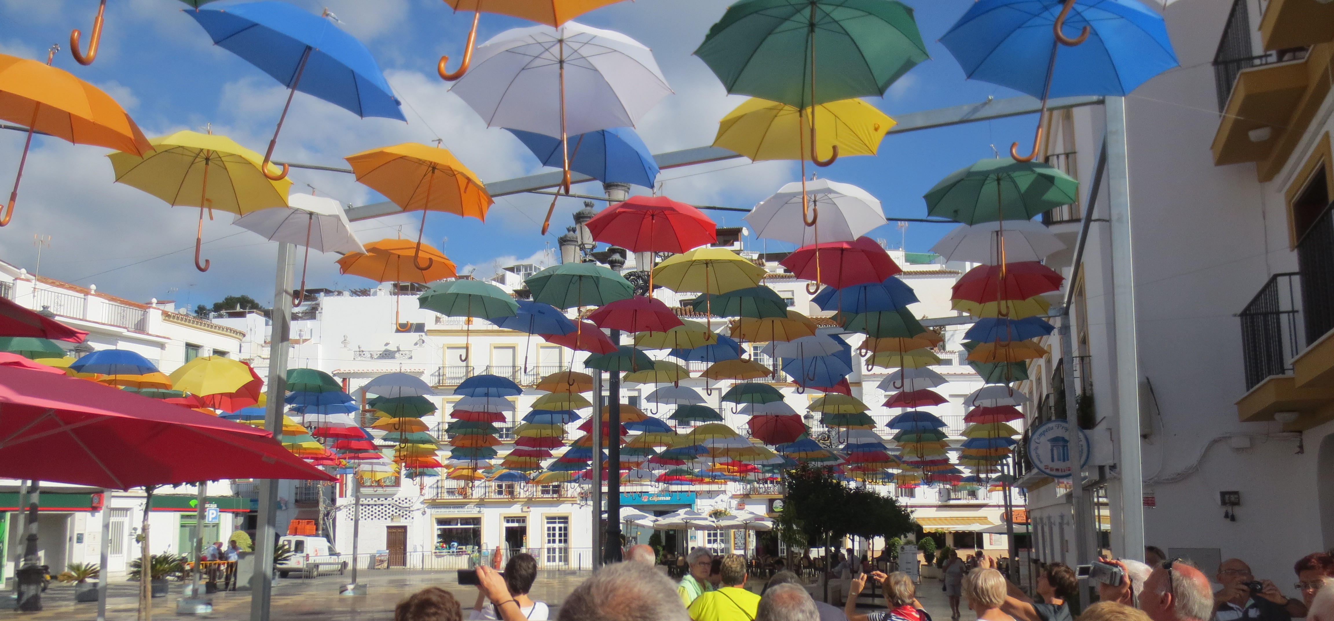 Torrox00