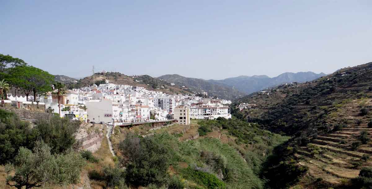 torrox
